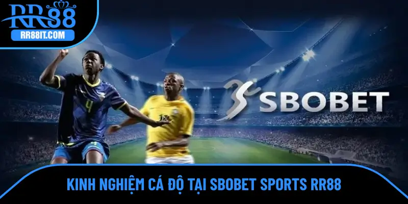 Kinh nghiệm chiến thắng dành cho người chơi SBOBET Sports RR88