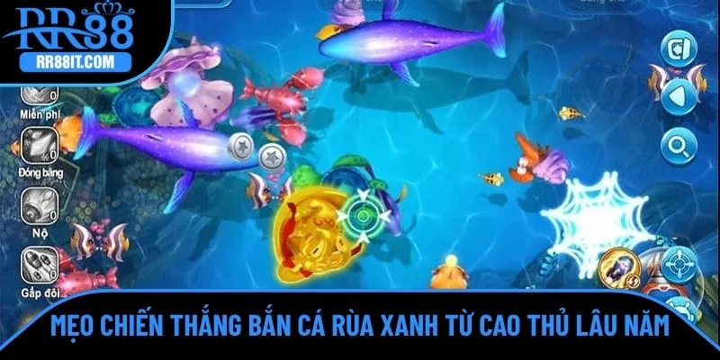 Mẹo chiến thắng game bắn cá rùa xanh từ cao thủ lâu năm